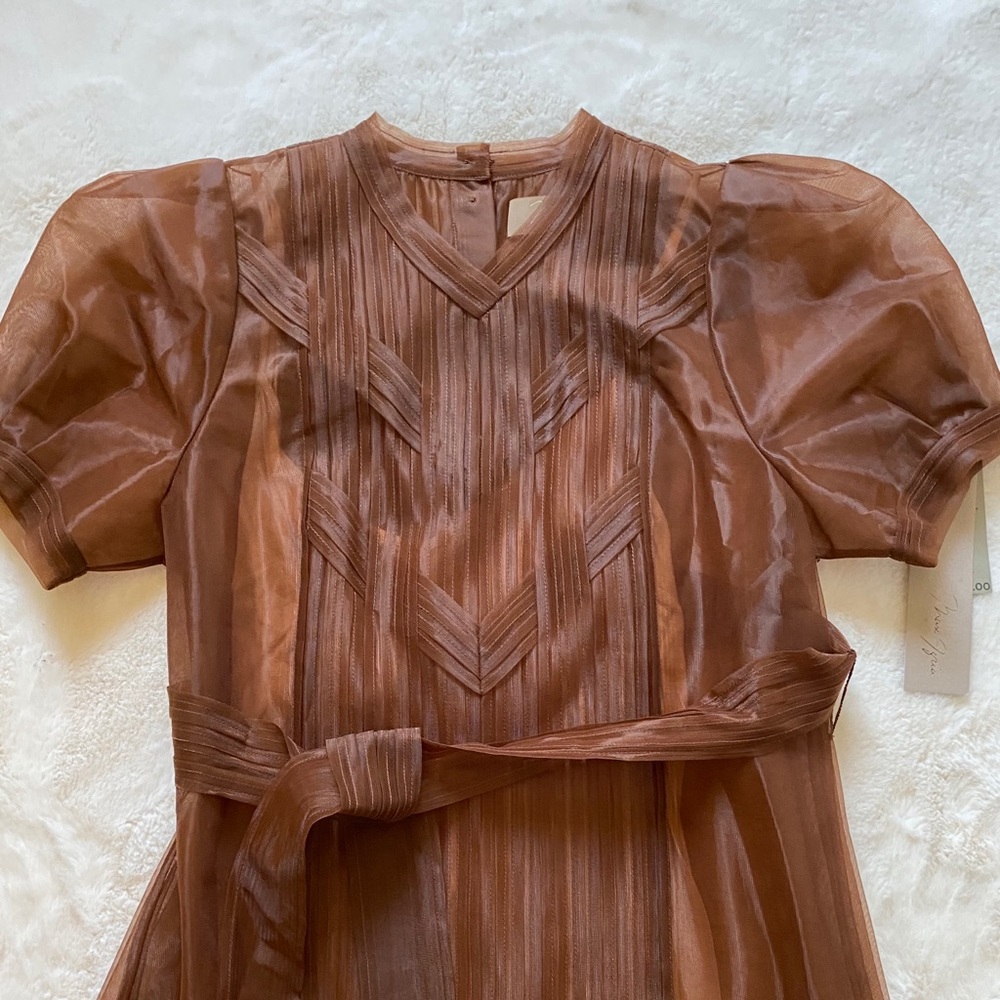 Max Azria Brown Organza Dress